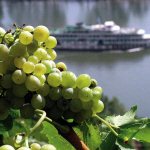 8-daagse cruise Rijn en Wijn met ms Switzerland II