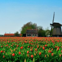 7-daagse cruise Door vier Hollandse Provincies met mps Horizon