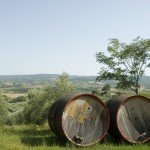 11-daagse vlieg-busrondreis Toscane en Venetië