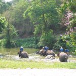 11-daagse groepsrondreis Ontdekkingsreis Thailand