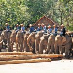 21-daagse groepsrondreis Fascinerend Thailand