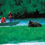 15-daagse autorondreis Portraits and Wildlife of Western Canada