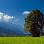 6-daagse busreis München, Augsburg en Oberammergau voor singles